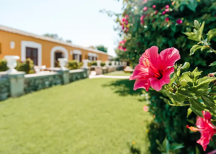 Hotel Sant Ignasi
